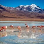 Salar de Uyuni y Lagunas Altiplánicas 2 días 1 noche