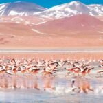 Salar de Uyuni Turismo