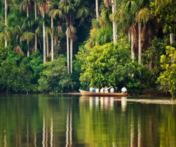 Selva Viva: Aventura en Tambopata & Collpa Chuncho 4D/3N