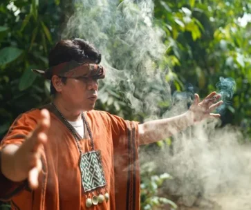Sanación : Ceremonia de Ayahuasca en Tambopata |2 D/ 1N
