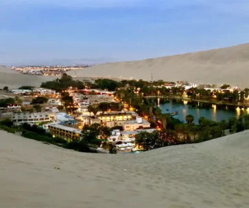Islas Ballestas, Viñedos y Huacachina desde Lima – Full Day
