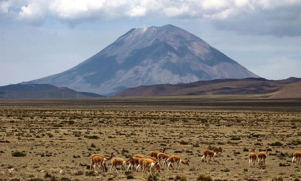 Ruta Altiplánica Andina | De Arequipa a Puno 2D/1N
