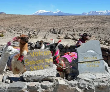 Tour Cañón del Colca desde Arequipa (Full Day)